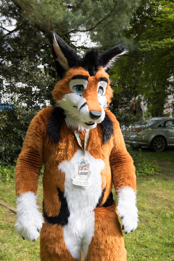 Furry Weekend Holland 2023, Fursuits