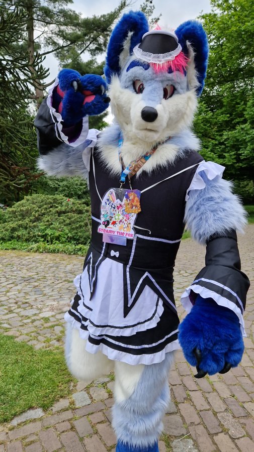 Furry Weekend Holland 2023, Fursuits