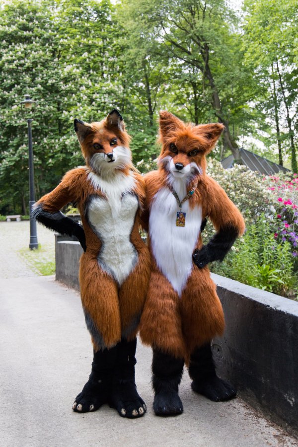 Furry Weekend Holland 2023