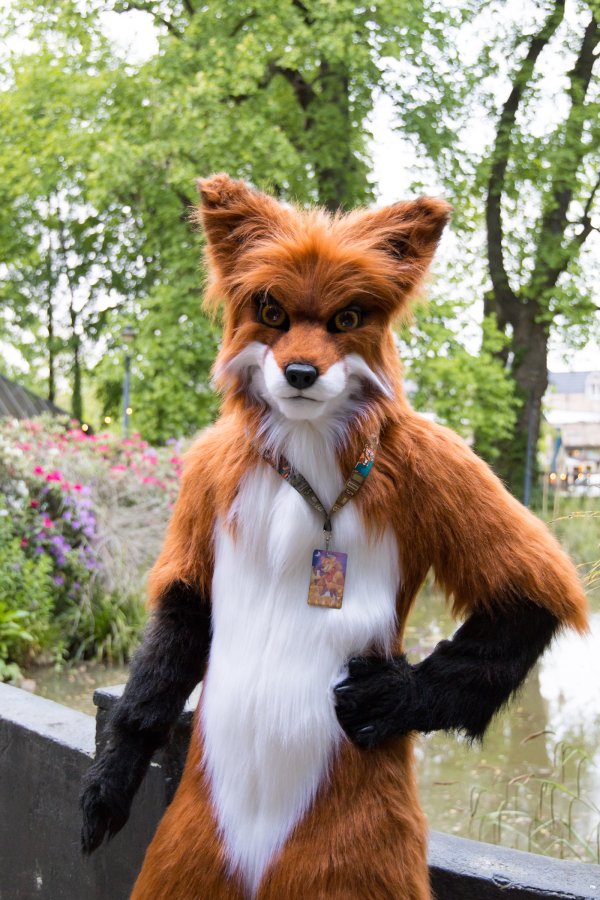 Furry Weekend Holland 2023, Mini photoshoots