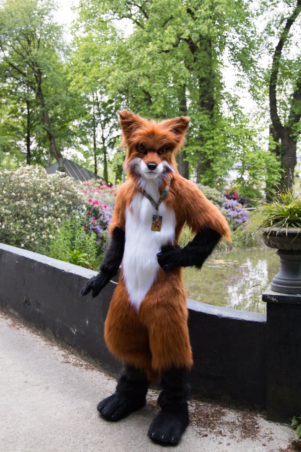 Furry Weekend Holland 2023, Mini photoshoots