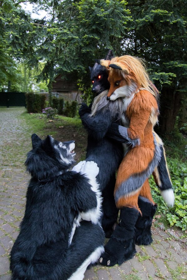 Furry Weekend Holland 2023, Mini photoshoots