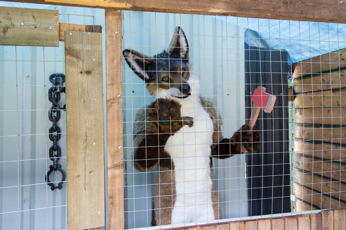 Furry Weekend Holland 2023, Fursuits