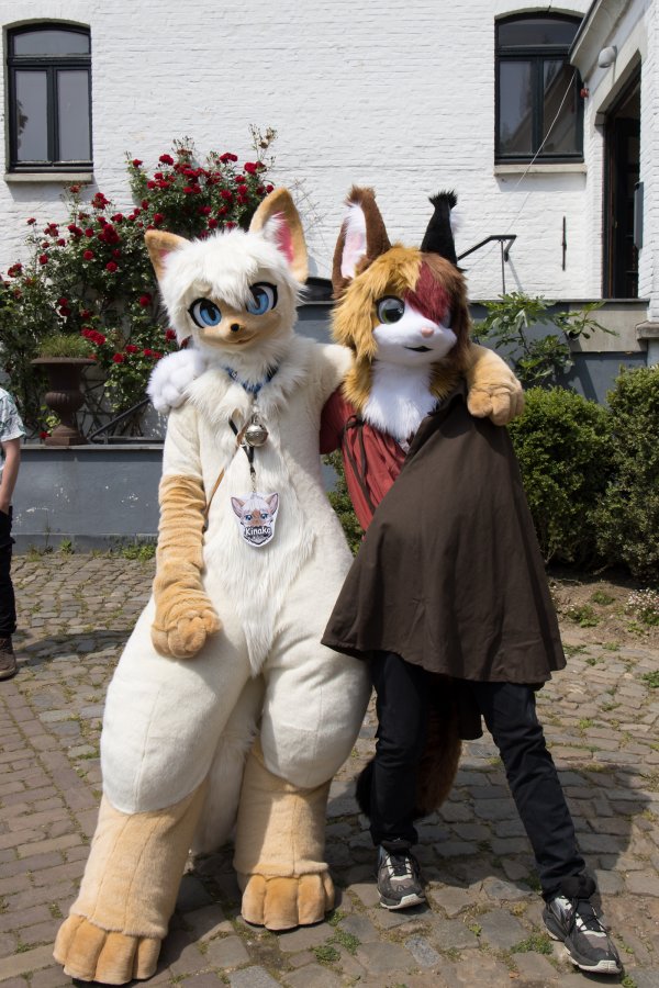 Furry Weekend Holland 2023, Fursuits