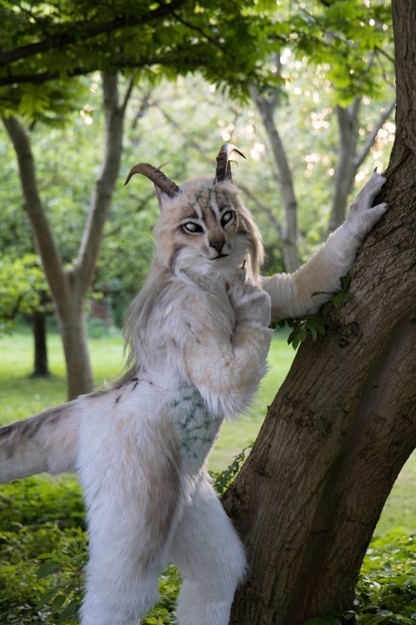 Furry Weekend Holland 2023, Mini photoshoots