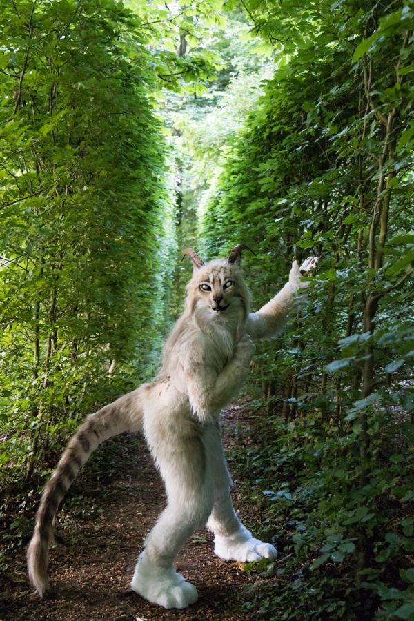 Furry Weekend Holland 2023, Mini photoshoots