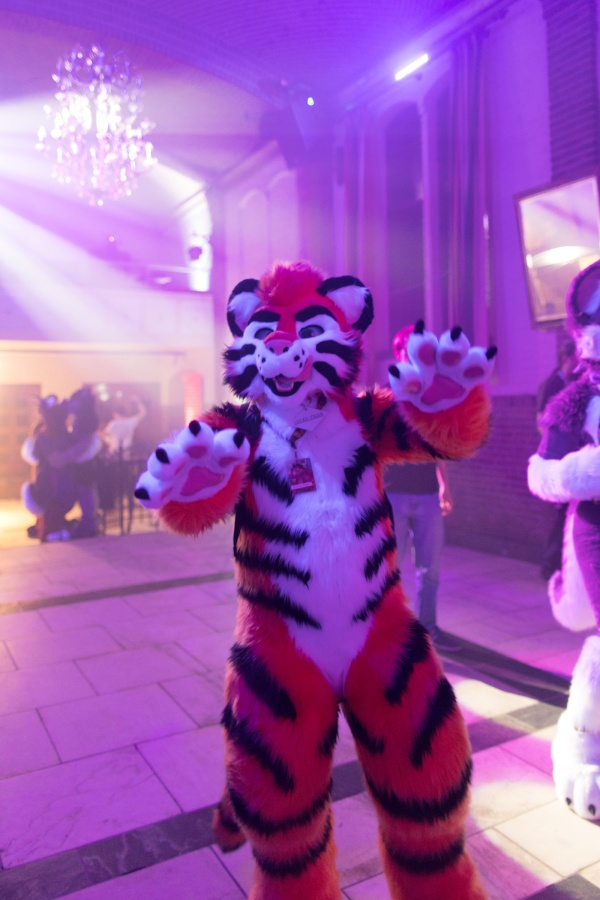 Furry Weekend Holland 2023, Fursuits