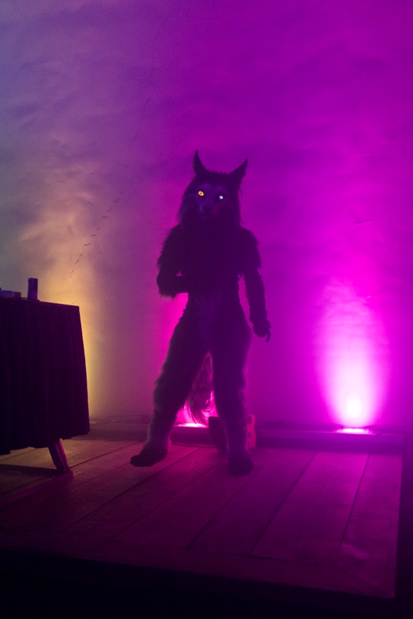 Furry Weekend Holland 2023, Fursuits