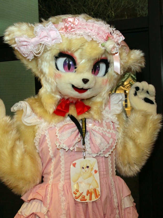 Japan Meeting of Furries 2017, Convention photos