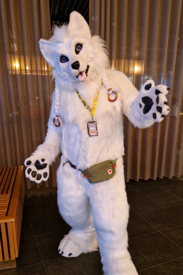 NordicFuzzCon 2024, Fursuits