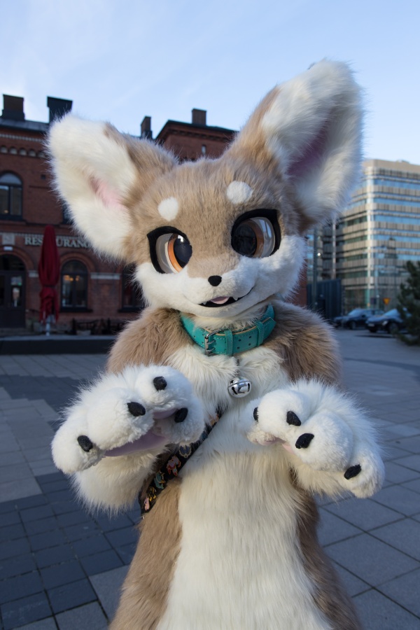 NordicFuzzCon 2024, Fursuits