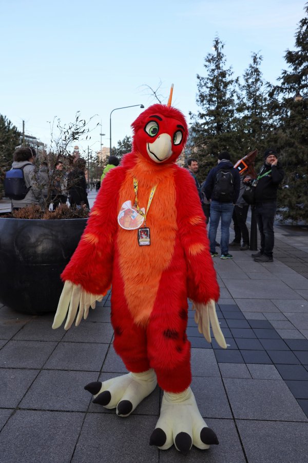 NordicFuzzCon 2024, Fursuits