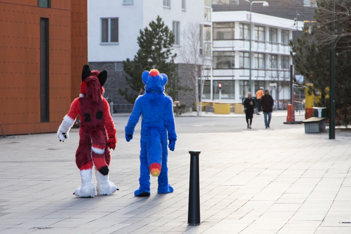 NordicFuzzCon 2024, Fursuits