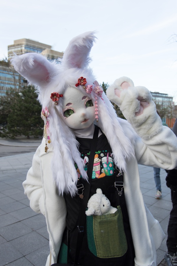 NordicFuzzCon 2024, Fursuits