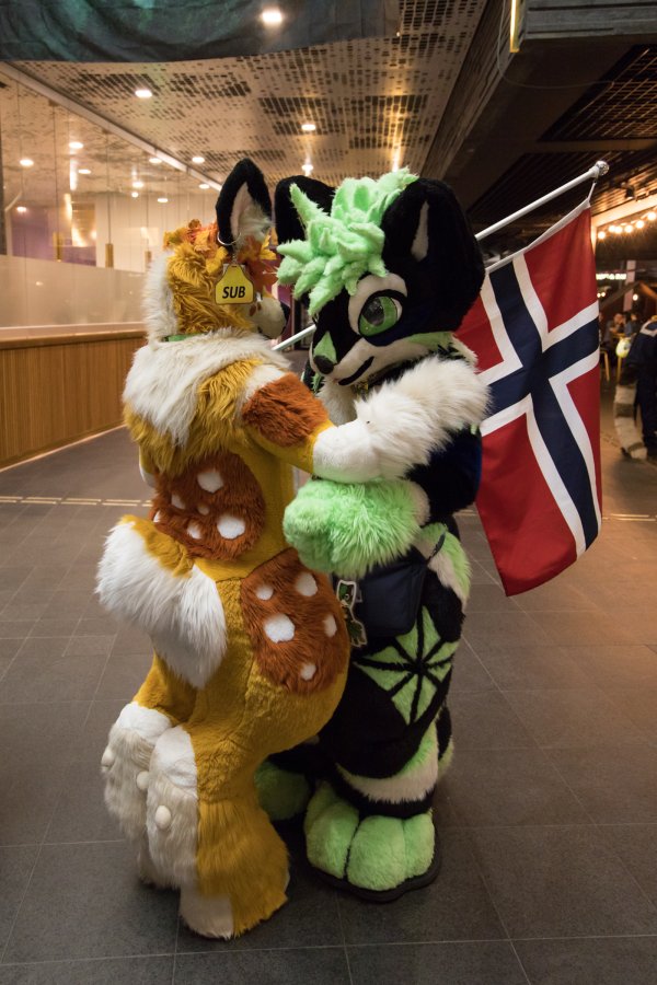 NordicFuzzCon 2024, Fursuits