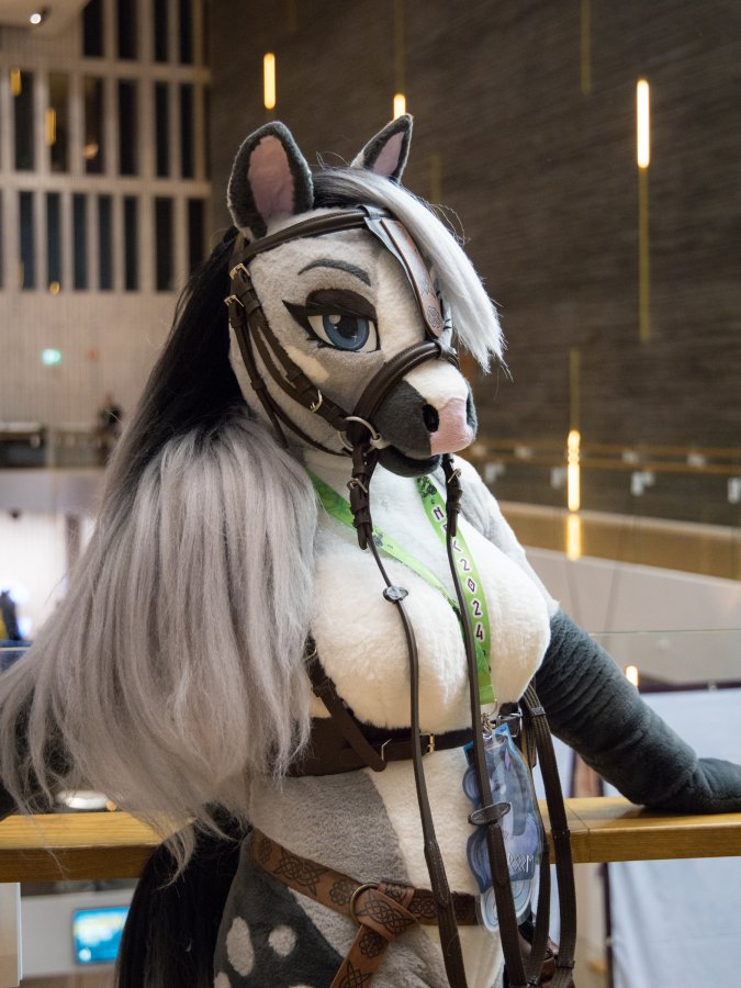 NordicFuzzCon 2024, Mini photoshoots