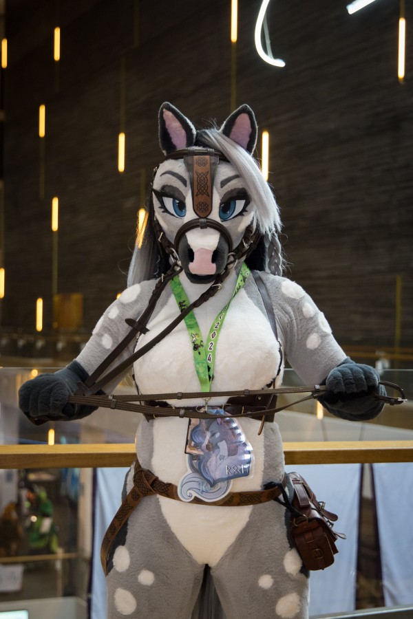 NordicFuzzCon 2024, Mini photoshoots