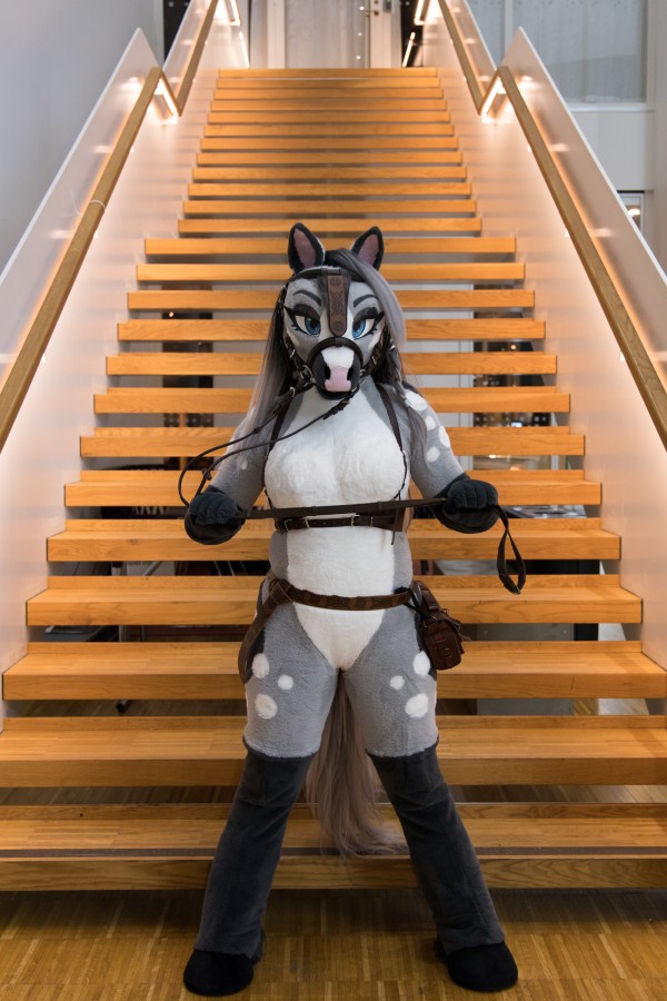 NordicFuzzCon 2024, Mini photoshoots