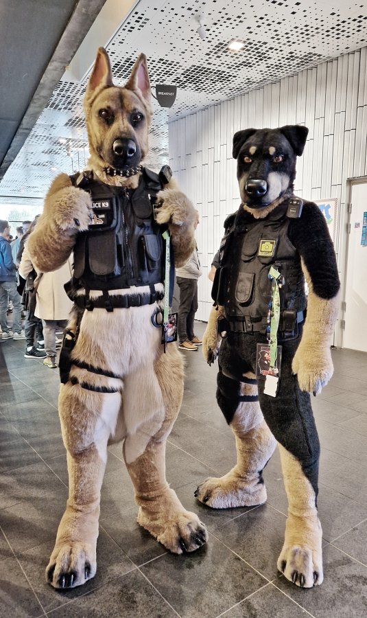 NordicFuzzCon 2024, Fursuits