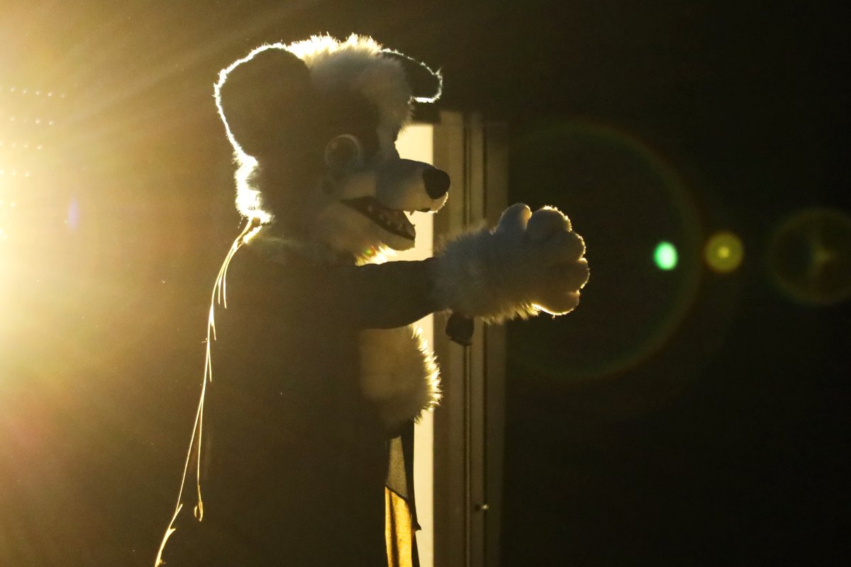 NordicFuzzCon 2024, Other photos