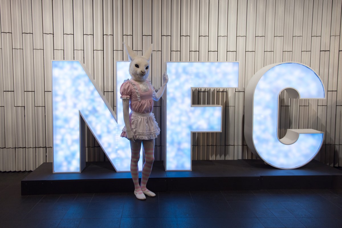 NordicFuzzCon 2024, Lumie bunny