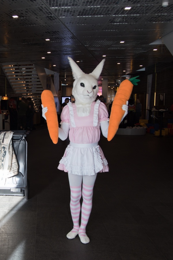 NordicFuzzCon 2024, Lumie bunny