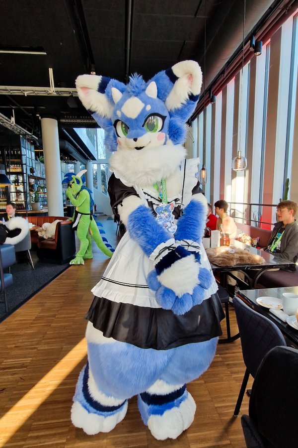 NordicFuzzCon 2024, Fursuits