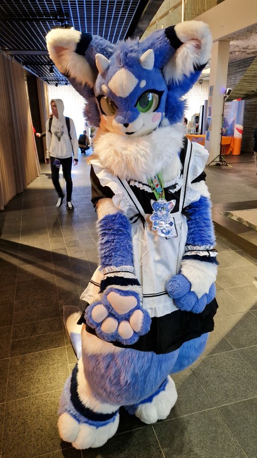 NordicFuzzCon 2024, Fursuits