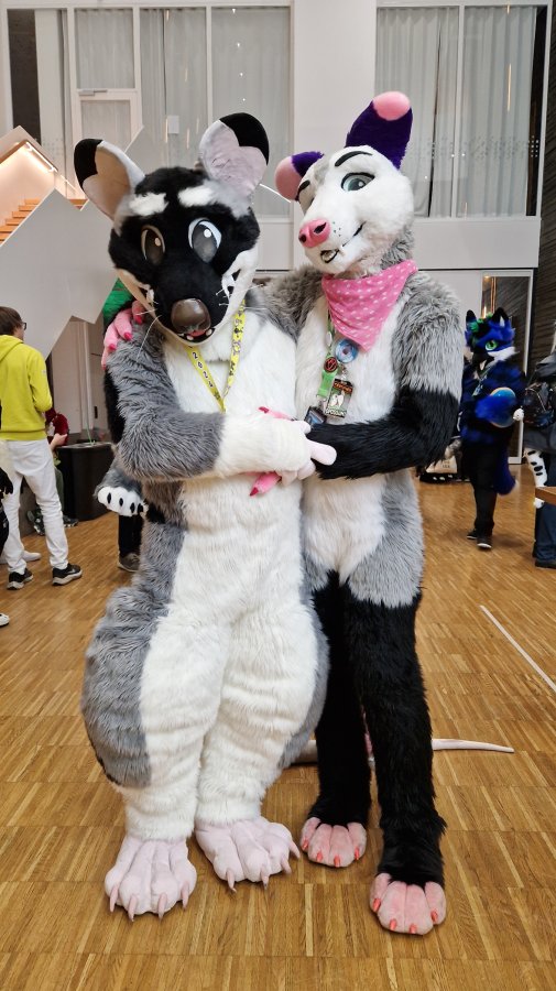 NordicFuzzCon 2024, Fursuits