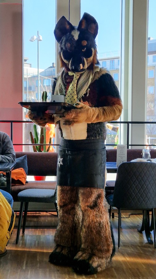 NordicFuzzCon 2024, Fursuits