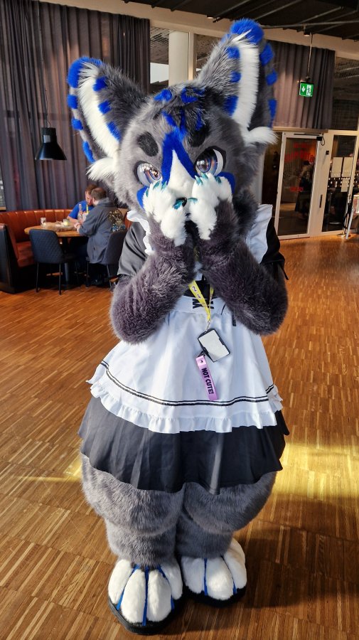 NordicFuzzCon 2024, Fursuits