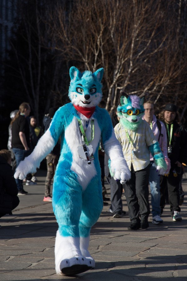 NordicFuzzCon 2024, Fursuits