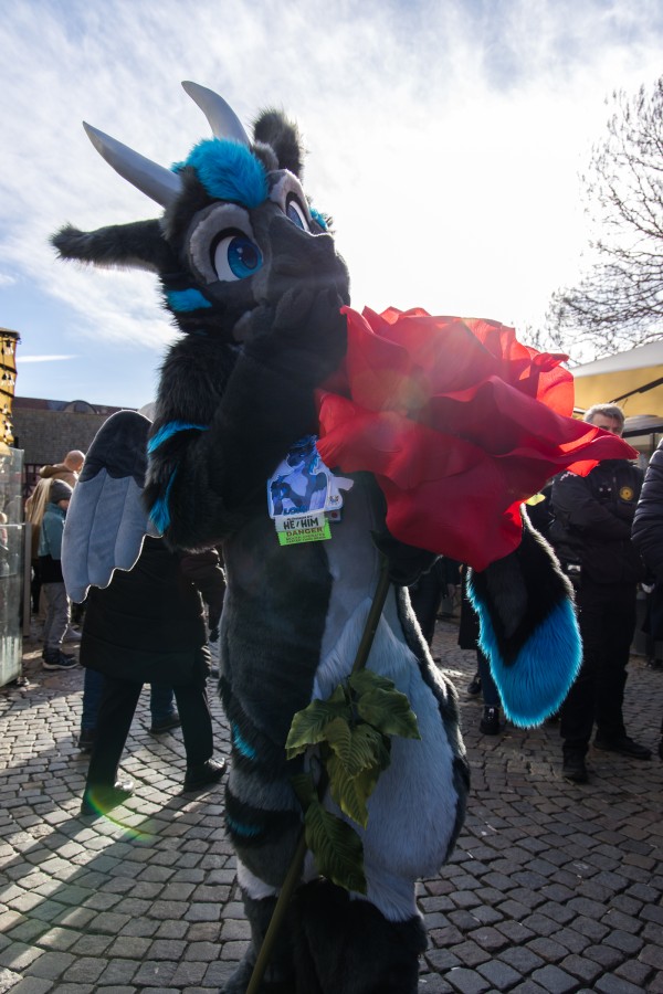 NordicFuzzCon 2024, Fursuits