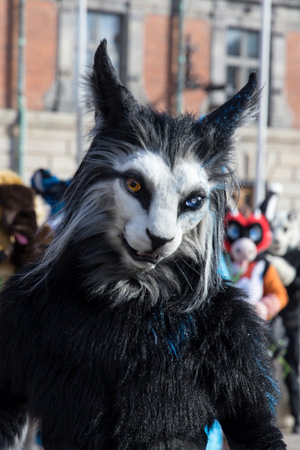 NordicFuzzCon 2024, Fursuits