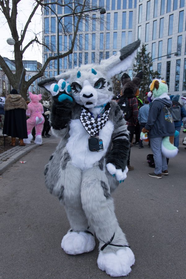 NordicFuzzCon 2024, Fursuits