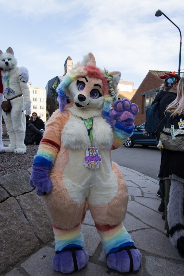 NordicFuzzCon 2024, Fursuits