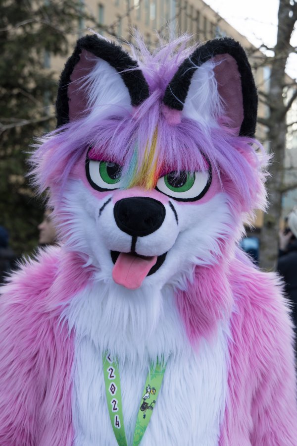 NordicFuzzCon 2024, Fursuits