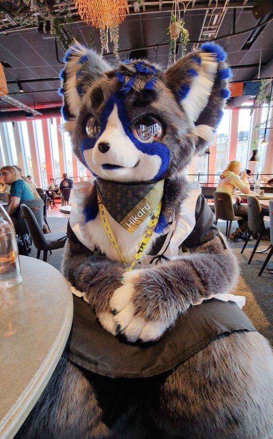 NordicFuzzCon 2024, Fursuits