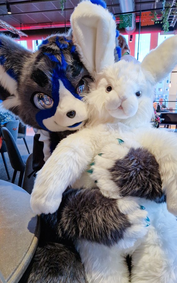 NordicFuzzCon 2024, Plushies