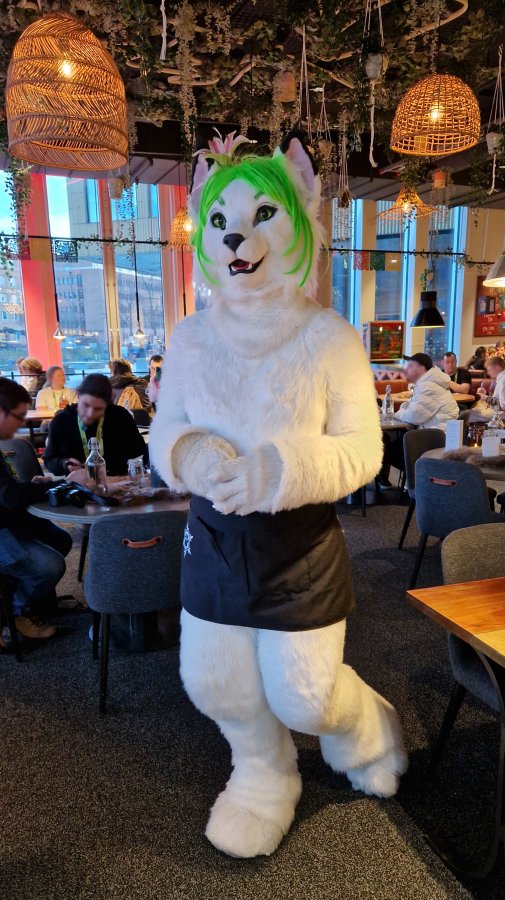 NordicFuzzCon 2024, Fursuits