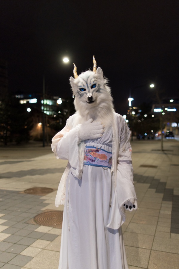 NordicFuzzCon 2024, Fursuits