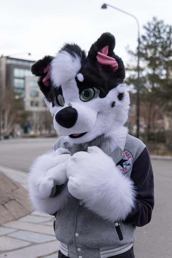 NordicFuzzCon 2024, Fursuits