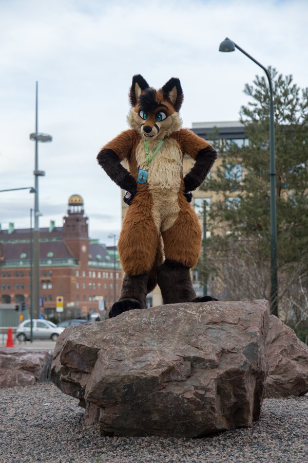 NordicFuzzCon 2024, Fursuits