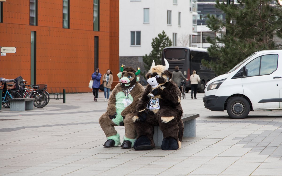 NordicFuzzCon 2024, Fursuits