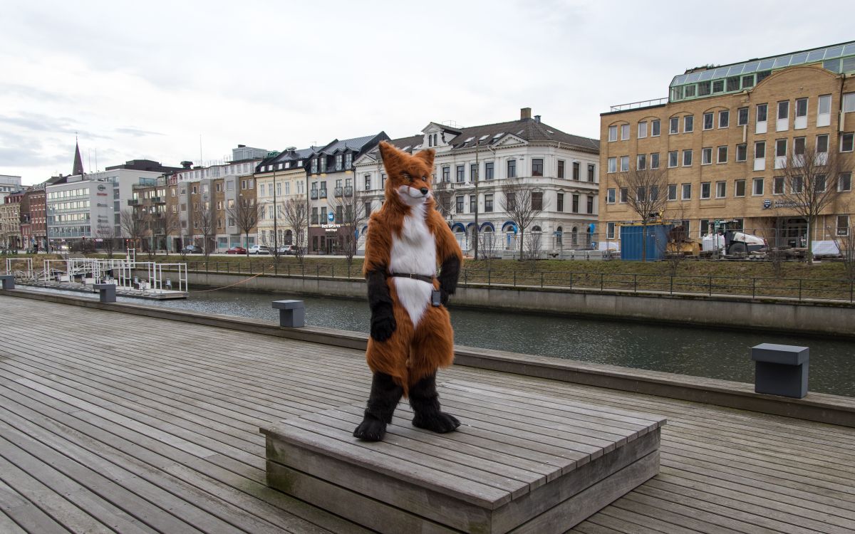 NordicFuzzCon 2024, Mini photoshoots