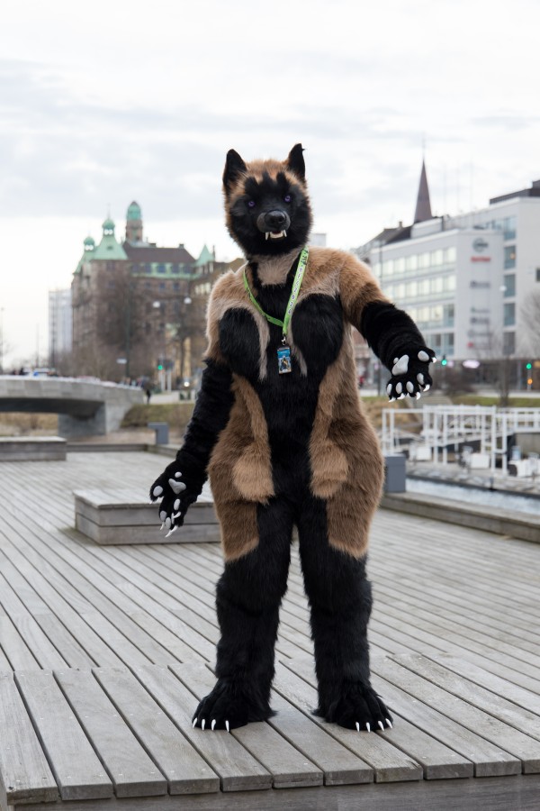 NordicFuzzCon 2024, Mini photoshoots