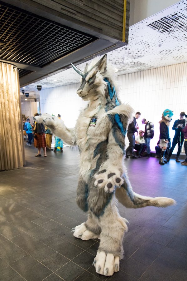 NordicFuzzCon 2024, Fursuits