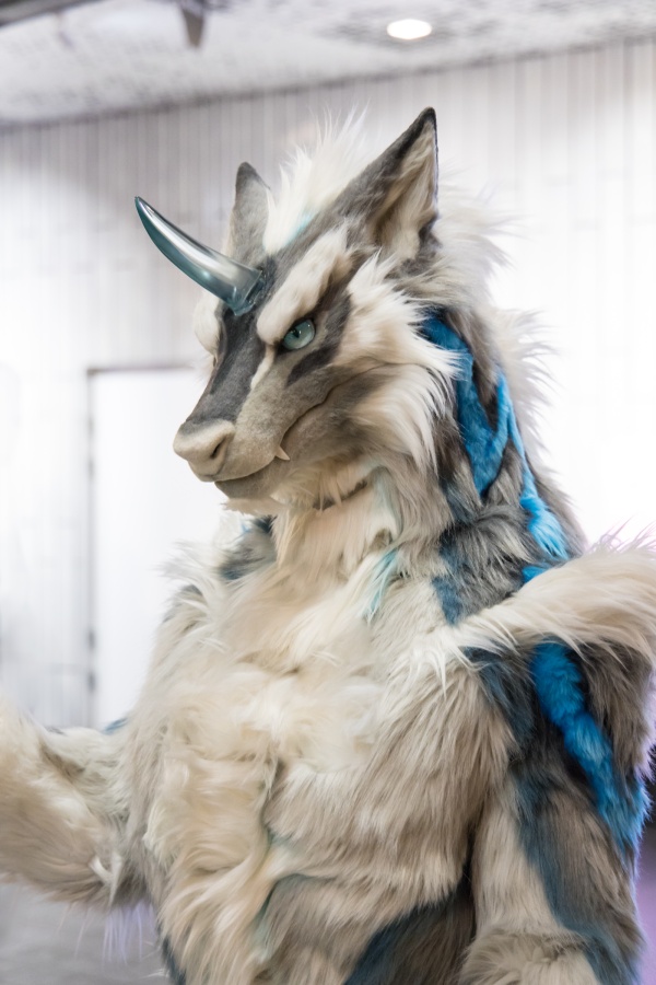 NordicFuzzCon 2024, Fursuits