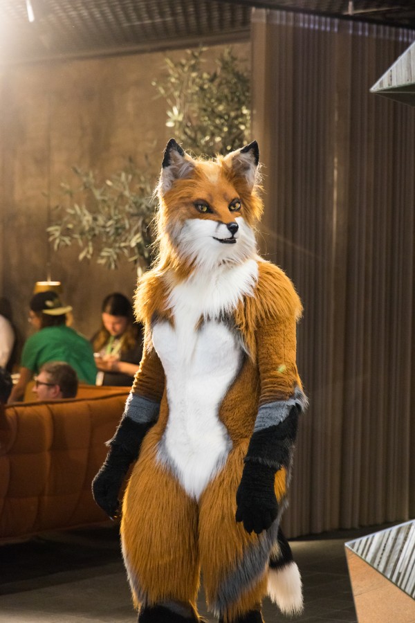 NordicFuzzCon 2024, Fursuits