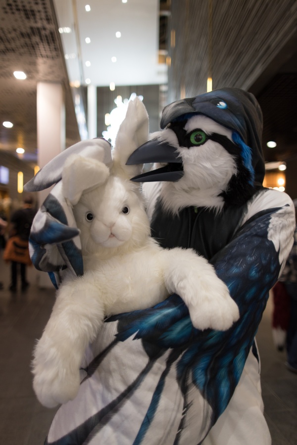 NordicFuzzCon 2024, Plushies